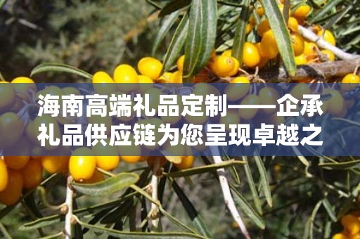 海南高端礼品定制——企承礼品供应链为您呈现卓越之选