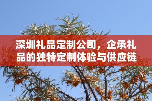 深圳礼品定制公司，企承礼品的独特定制体验与供应链优势