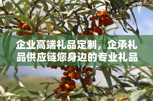 企业高端礼品定制，企承礼品供应链您身边的专业礼品定制公司