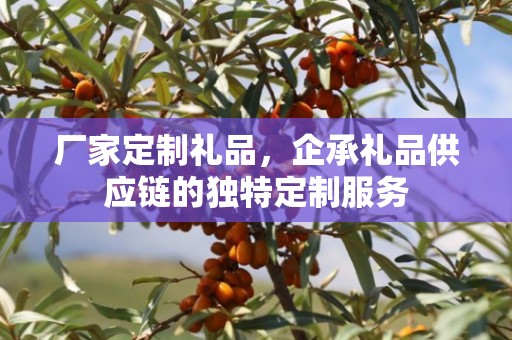 厂家定制礼品，企承礼品供应链的独特定制服务