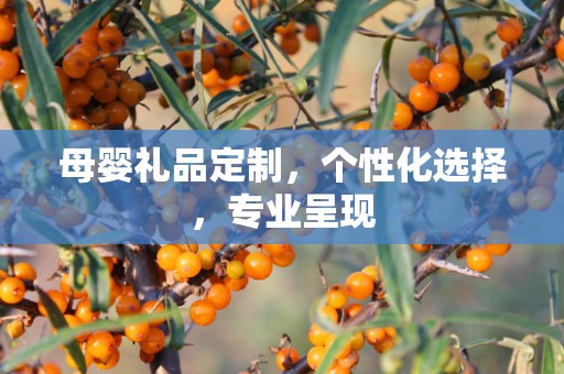 母婴礼品定制，个性化选择，专业呈现