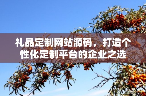 礼品定制网站源码，打造个性化定制平台的企业之选